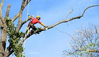 paysagiste sur un arbre