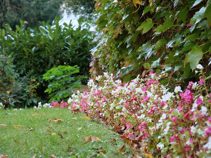 amenagement jardin terrasement avant