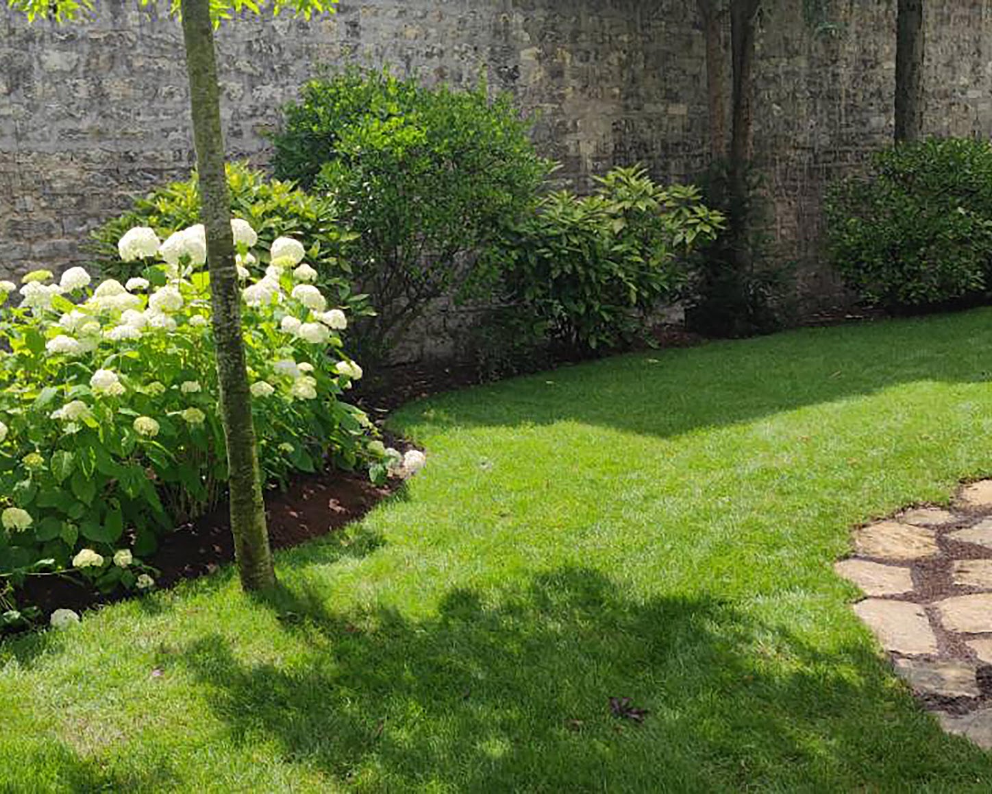 amenagement jardin terrasement avant