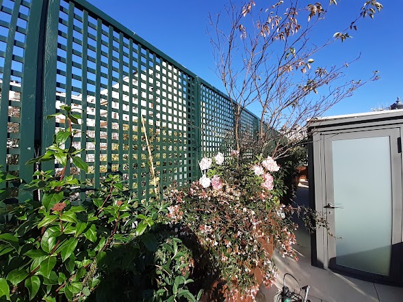 amenagement jardin terrasement avant